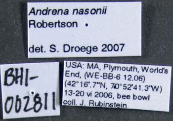 Media type: image;   Entomology 609557 Aspect: labels